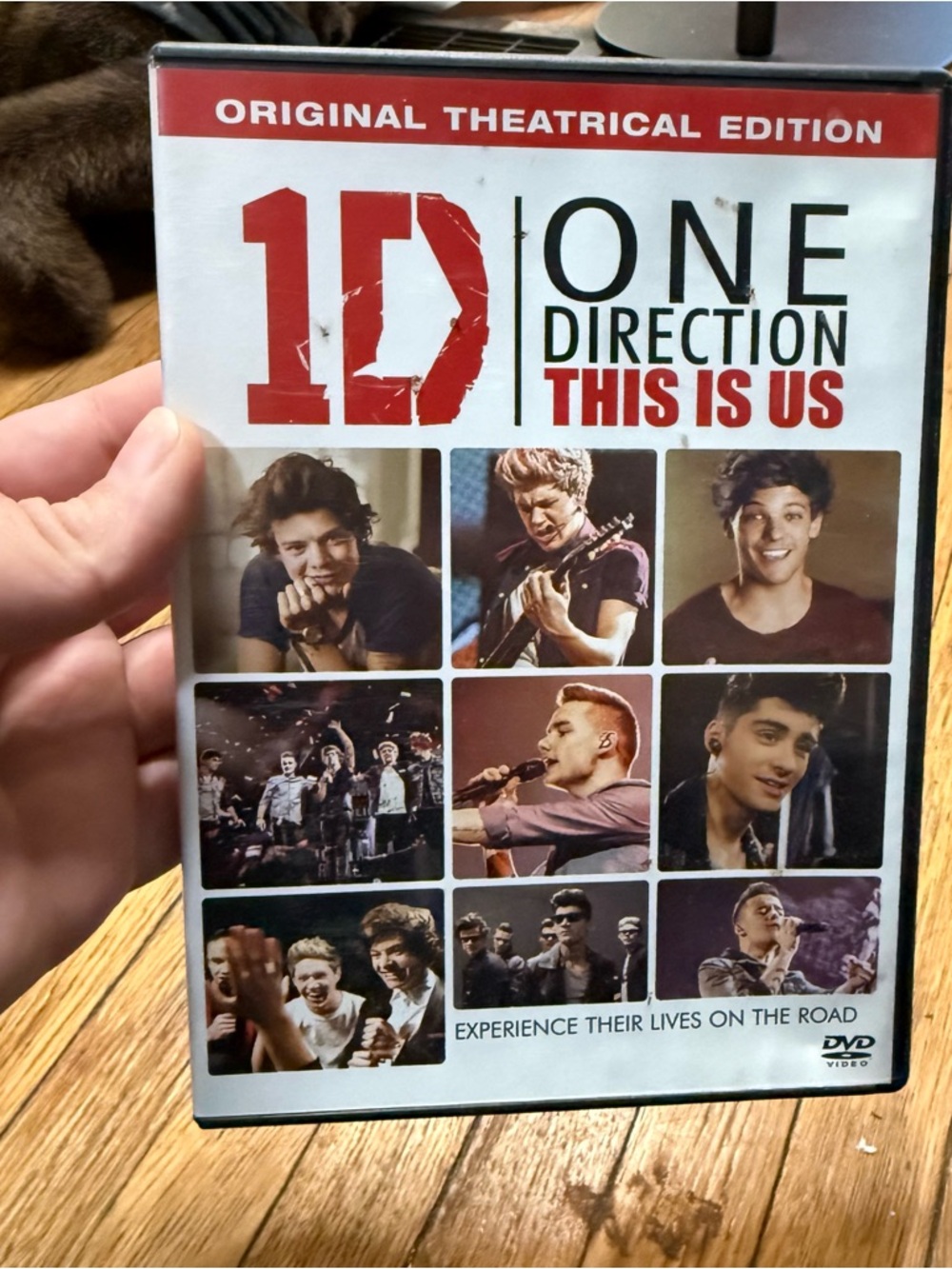 One Direction - This Is Us (Original Theatrical Edition) DVD